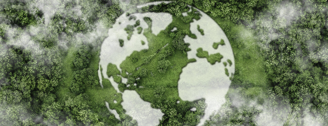 Portugal já consumiu os recursos naturais previstos para 2026