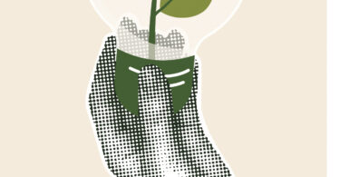 Sustentabilidade: da teoria à prática