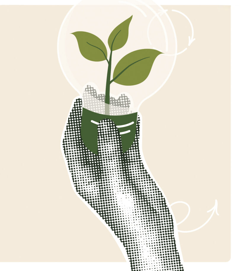 Sustentabilidade: da teoria à prática