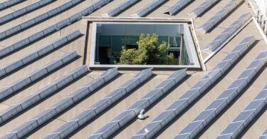 Sonae reduz emissões em 25% e reforça trajetória para a neutralidade carbónica
