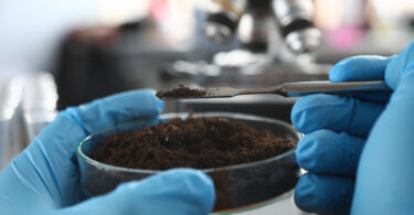 Das águas residuais aos solos contaminados: Projetos portugueses testam soluções de descontaminação