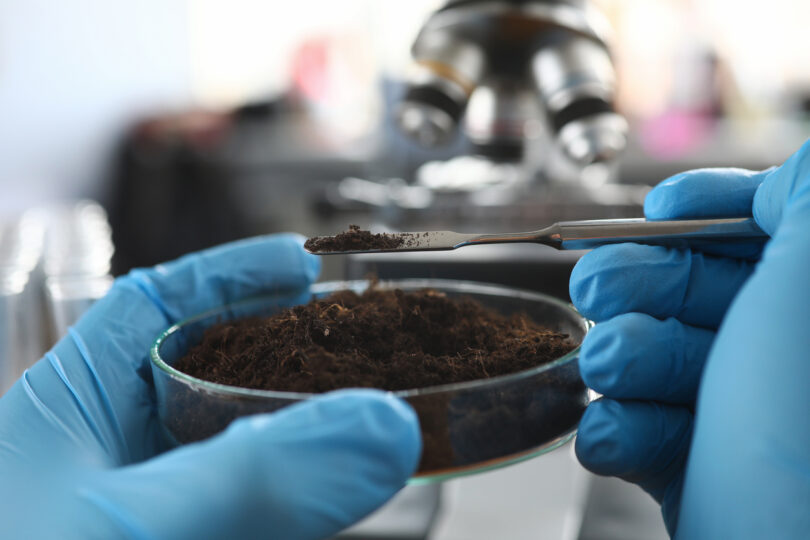 Das águas residuais aos solos contaminados: Projetos portugueses testam soluções de descontaminação