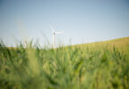 Península Ibérica ganha atratividade industrial com custos energéticos mais competitivos