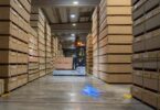 Sonae Arauco reduz emissões totais em 43% desde 2019