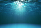 Temperatura da superfície do mar atinge novo recorde global