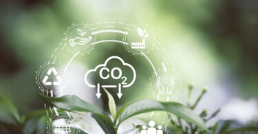 Mercado Voluntário de Carbono deverá alargar metodologias a novos projetos florestais