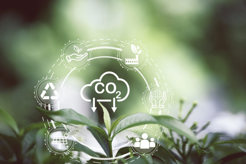 Mercado Voluntário de Carbono deverá alargar metodologias a novos projetos florestais