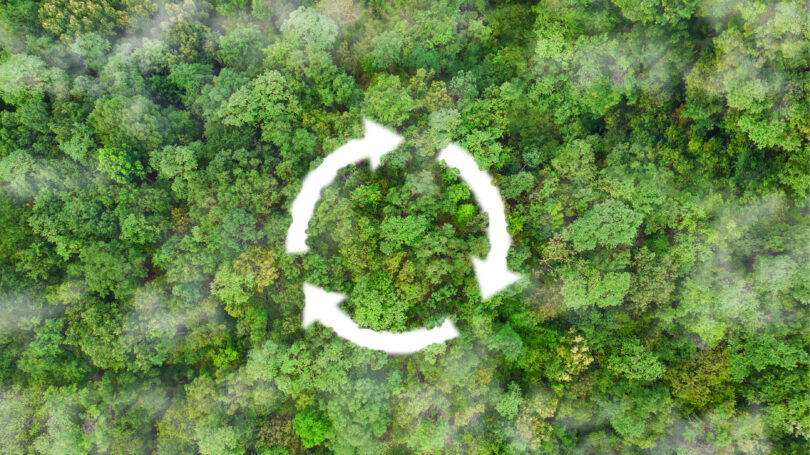 Estudo aponta baixo conhecimento sobre economia circular entre consumidores brasileiros