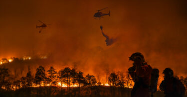 Pacto Climático Europeu apela a municípios para proteger populações dos incêndios