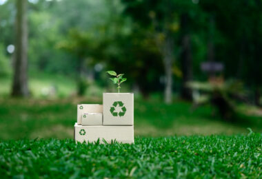 Portugal entre os países visados por Bruxelas por falhas nas metas de reciclagem